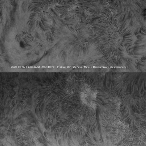 sun 2026-06-16