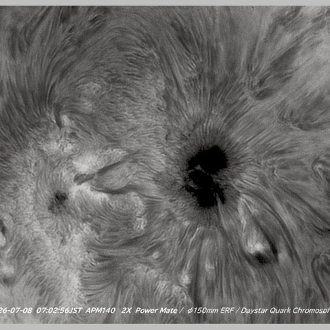 sun 2026-07-08