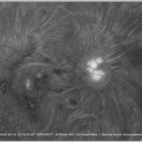 sun 2026-07-09