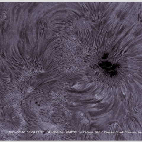 sun 2026-07-10