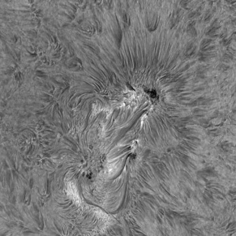sun 2026-07-10
