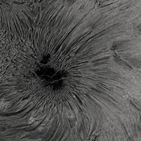 sun 2026-07-10
