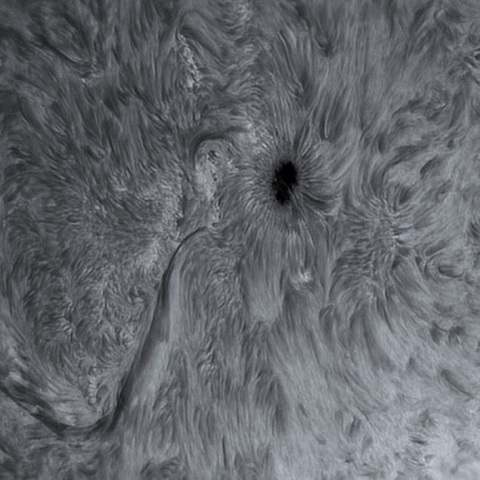 sun 2026-07-15