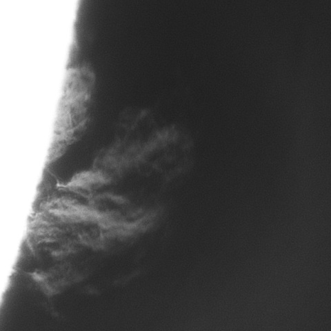 sun 2026-07-20