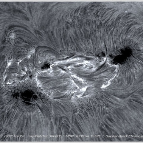 sun 2026-07-22