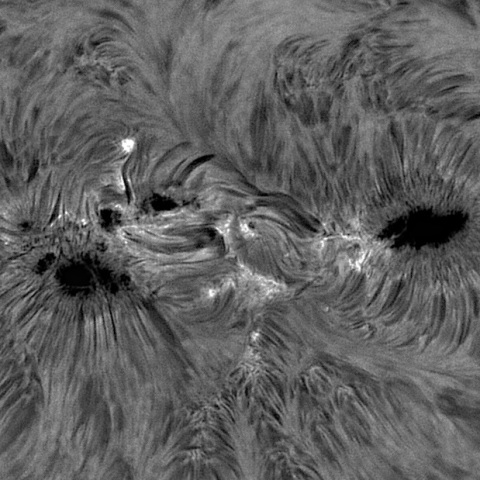sun 2026-07-23