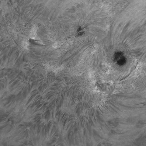 sun 2026-08-02