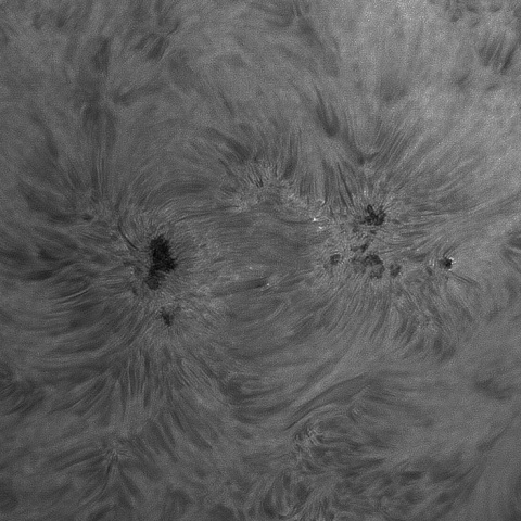 Sun 2026-08-04