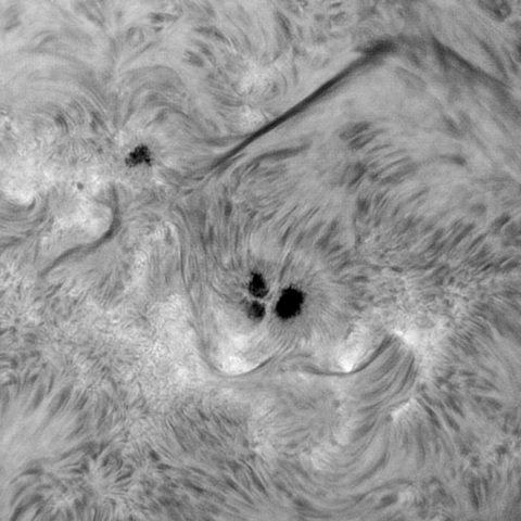 Sun 2026-08-05