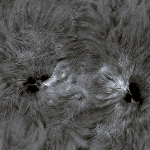SUN 2026-08-18