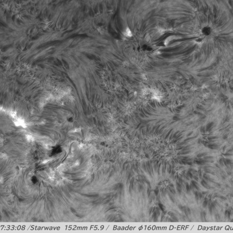 SUN 2026-08-24