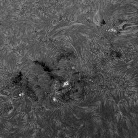 SUN 2026-08-24