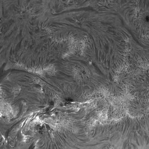 SUN 2026-08-25