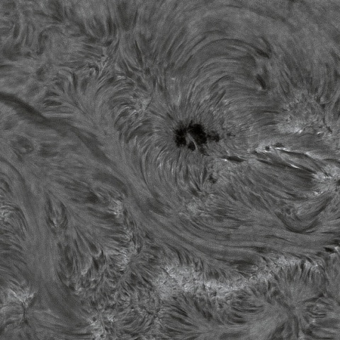 SUN 2026-08-26
