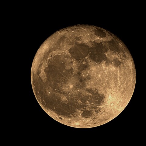 月齢15.7　2025/05/13