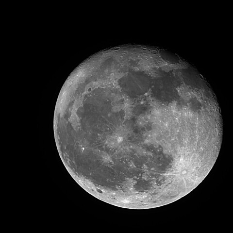 月齢16.8　2025/05/14