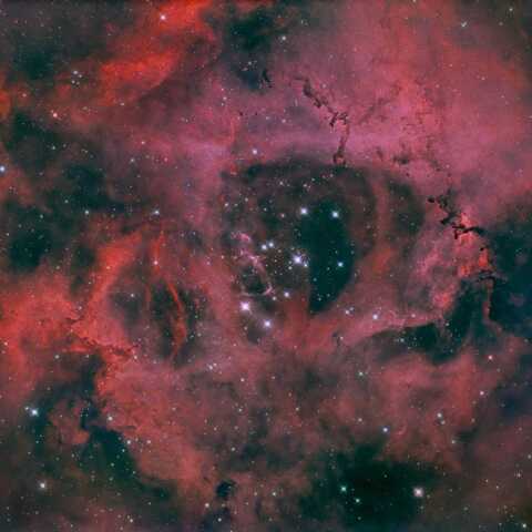 NGC2237　（ ばら星雲 ）