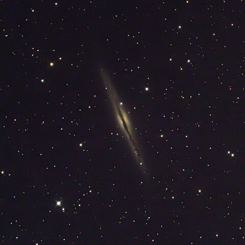 NGC891