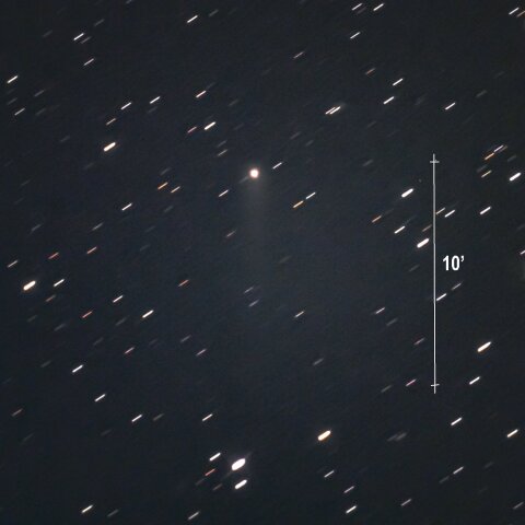 エイサスエスエヌ彗星　[ C/2018 N2 ]