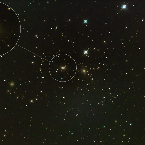 かみのけ座銀河団