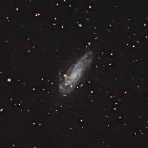 NGC 4559