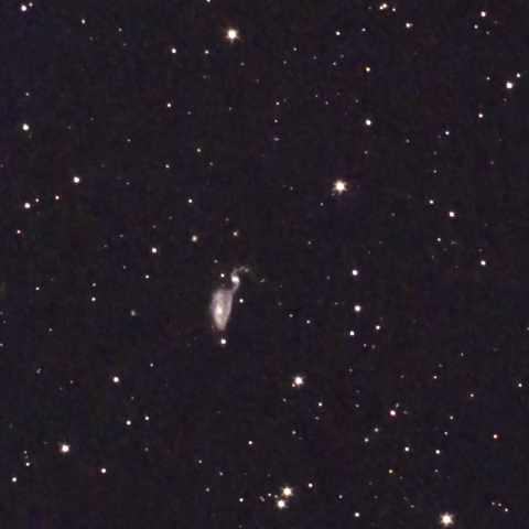Heron Galaxy Arp84 ( NGC5394・5395 )