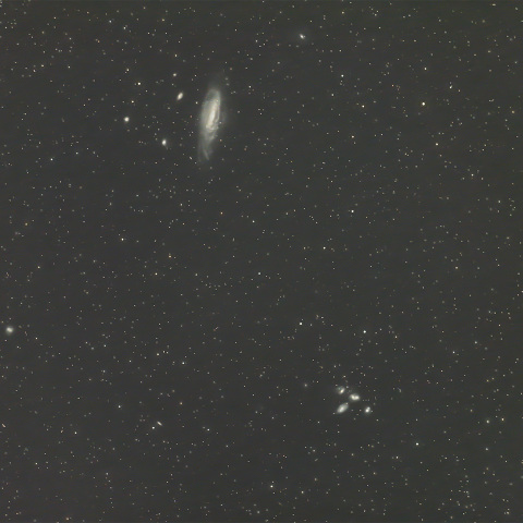 ステファンの五つ子 etc