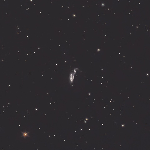 鷺銀河 ( Heron Galaxy / Arp84 )　　再投稿