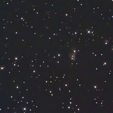 特異銀河 　NGC2444  /  2445        (  Arp 143  )