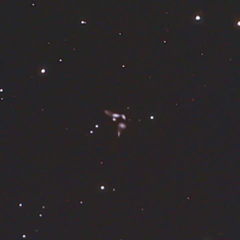 NGC6027       セイファートの六つ子銀河