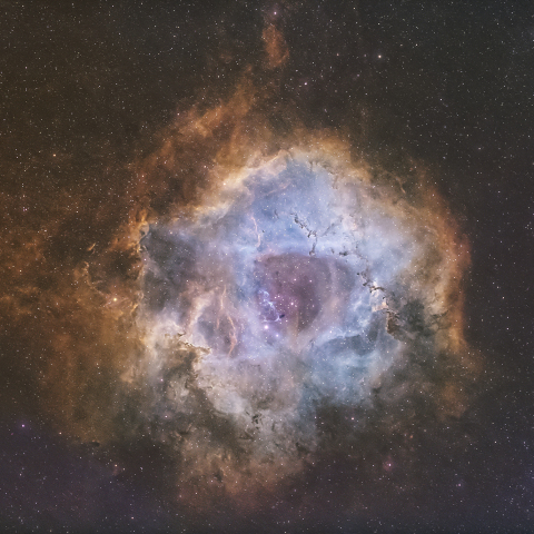 NGC2237 ばら星雲