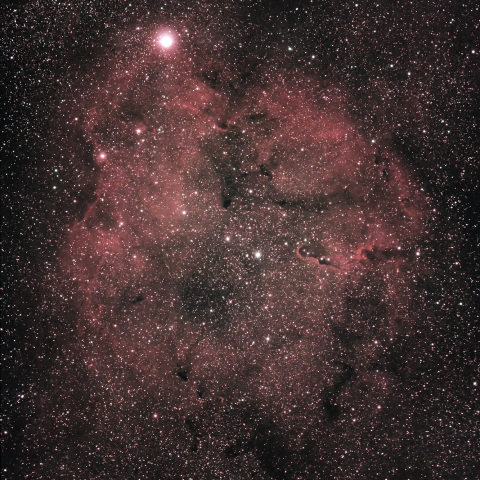 IC1396　ガーネット星雲