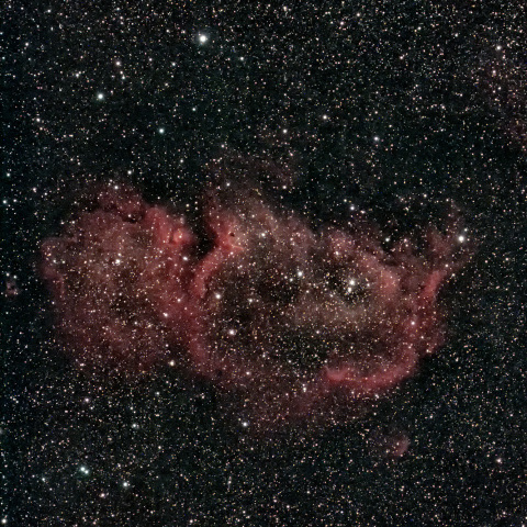 IC1848　胎児星雲