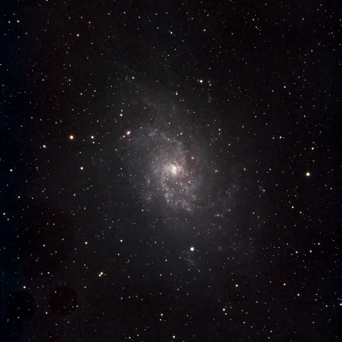 M33