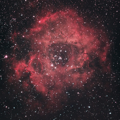 バラ星雲　NGC2237