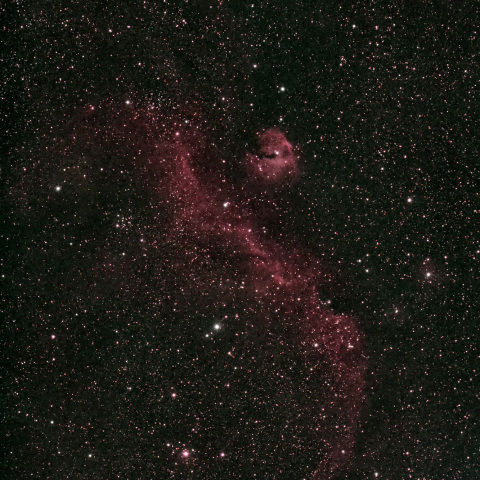 IC2177（かもめ星雲）