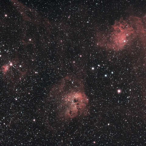 IC405（勾玉星雲）/ IC410 / IC417
