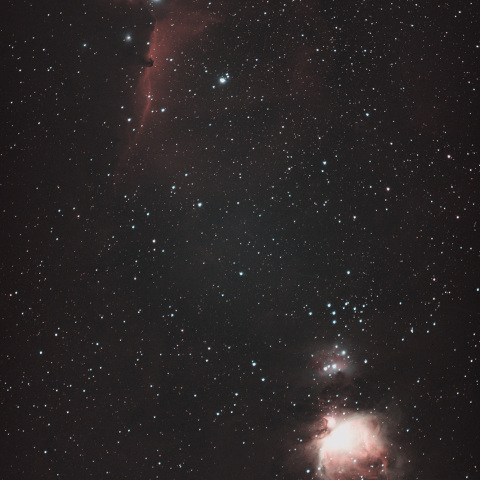 M42（オリオン大星雲）/ IC434（馬頭星雲）