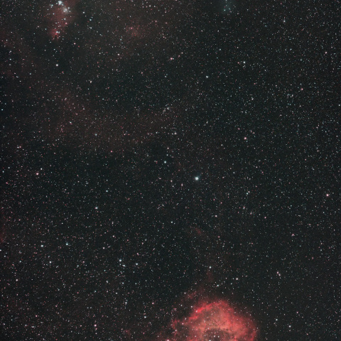 NGC2237（バラ星雲）/ NGC2264（コーン星雲）