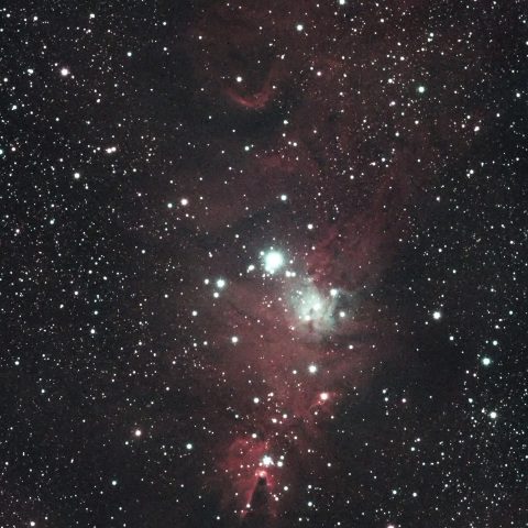 NGC2264　コーン星雲