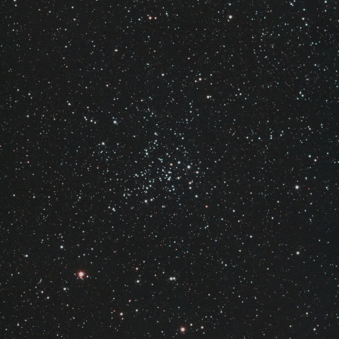 NGC1528