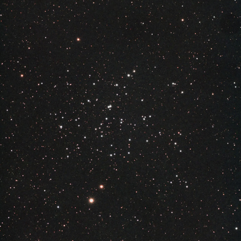 NGC1647