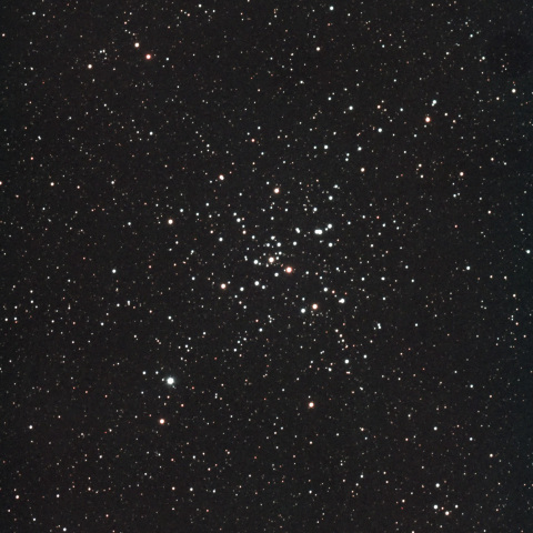 M41