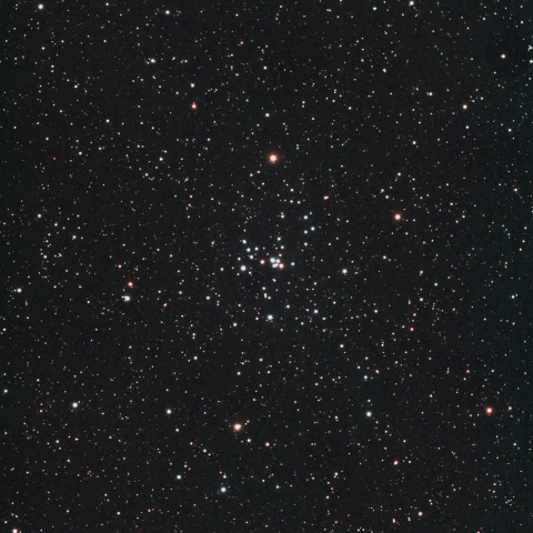 NGC2281