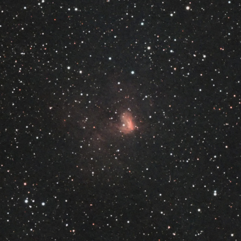 NGC1491