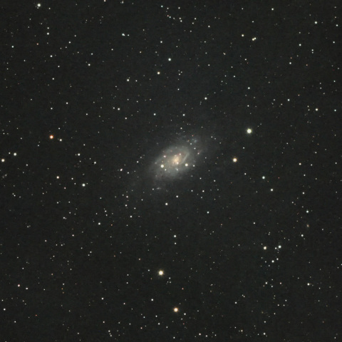 NGC2403