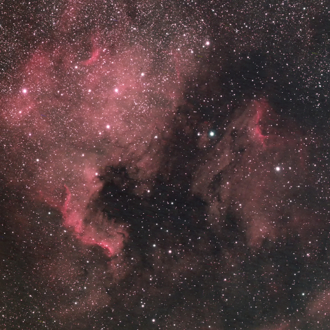 NGC7000/IC5067　北アメリカ星雲/ペリカン星雲