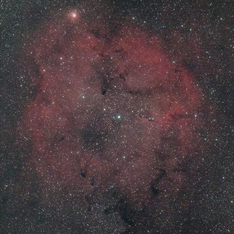 IC1396 ガーネット星雲