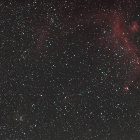 IC2177 かもめ星雲 / NGC2359 トールの兜星雲