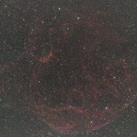 Sh2-240 レムナント（超新星残骸）